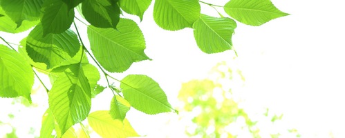 �[�����m �i�b�g�E�L�i�[�[�T�v���̔��T�C�g��